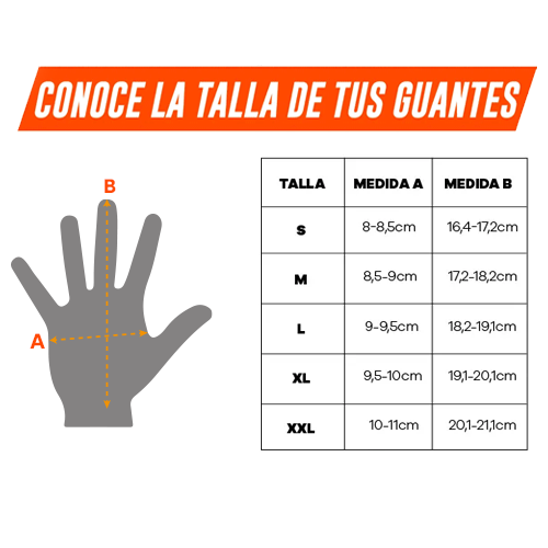 Imagen 3