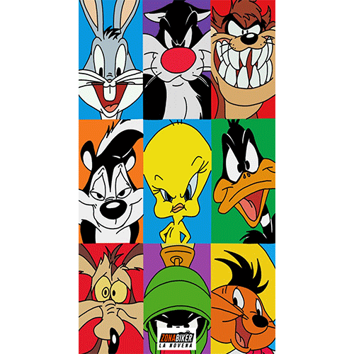 BUFF 90 CM LOONEY TUNES CUADROS 038
