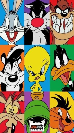 BUFF 70 CM LOONEY TUNES CUADROS 738